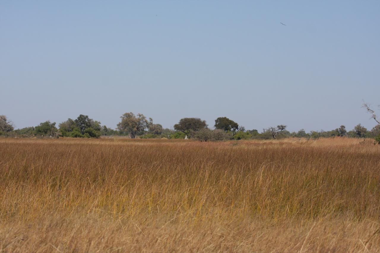 [19521] 2016_06_28_05_17_05_Africa_Canon_EOS_40D_IMG__10454.jpg