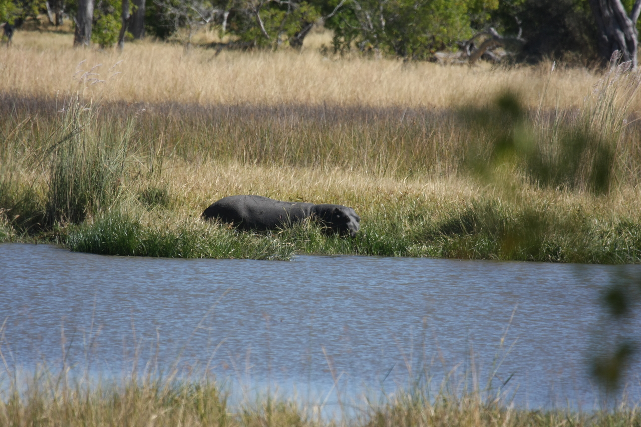 [19591] 2016_06_28_05_23_48_Africa_Canon_EOS_40D_IMG__00649.jpg