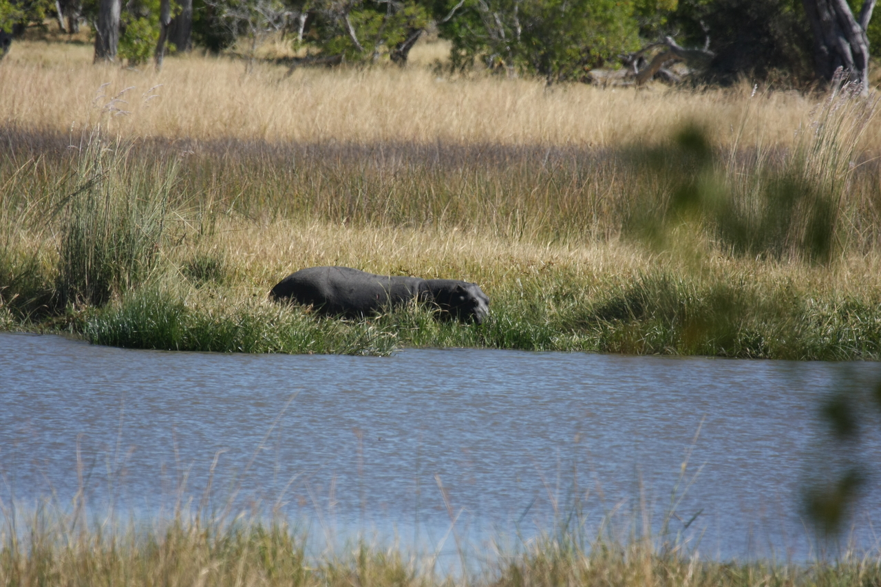 [19593] 2016_06_28_05_23_48_Africa_Canon_EOS_40D_IMG__03035.jpg