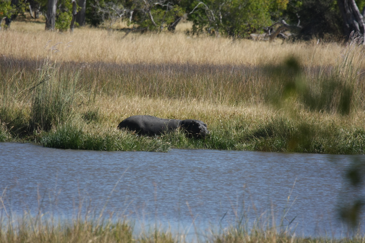 [19601] 2016_06_28_05_23_49_Africa_Canon_EOS_40D_IMG__03037.jpg