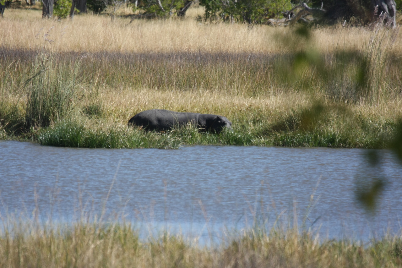 [19609] 2016_06_28_05_24_04_Africa_Canon_EOS_40D_IMG__00655.jpg