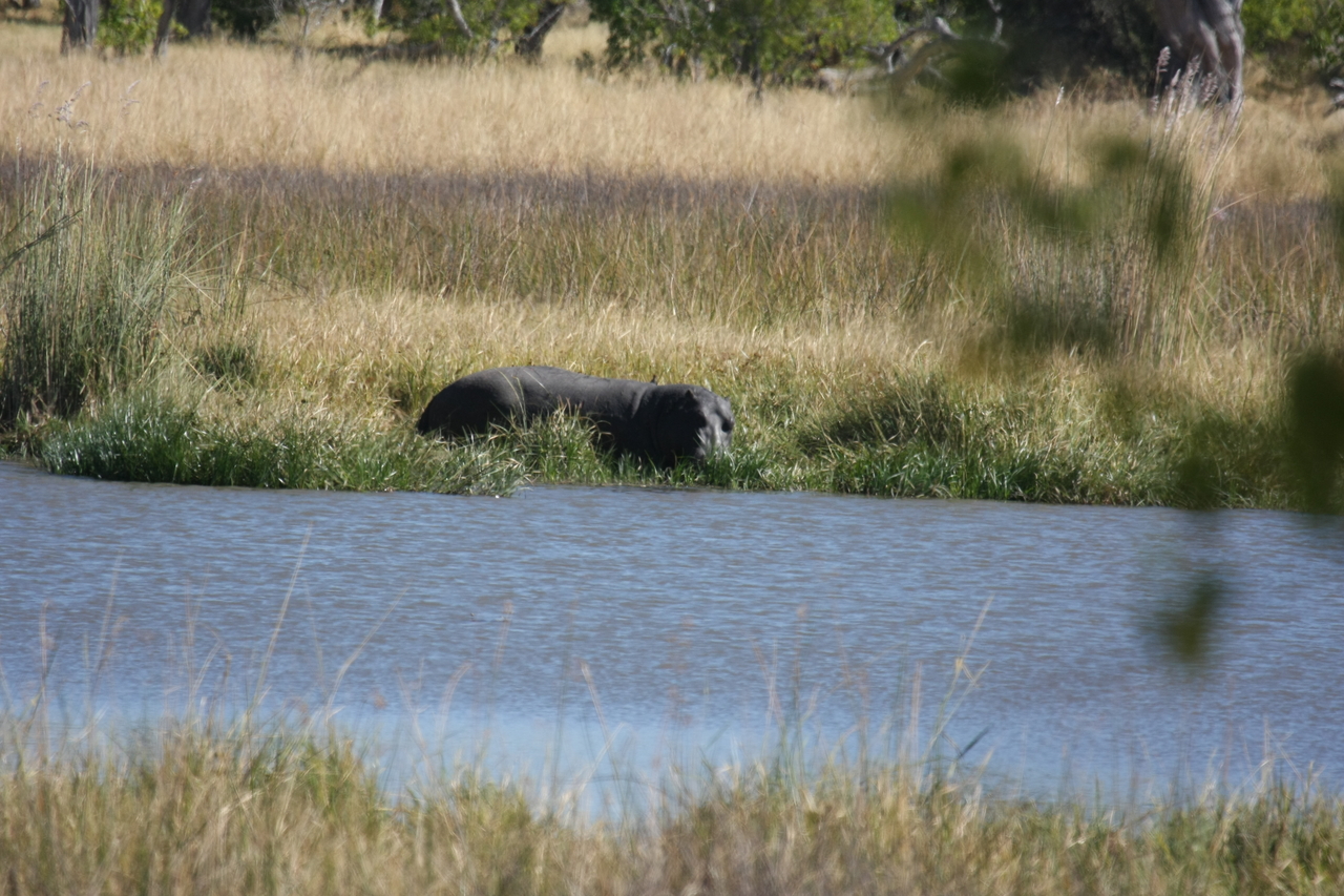 [19641] 2016_06_28_05_25_03_Africa_Canon_EOS_40D_IMG__10498.jpg