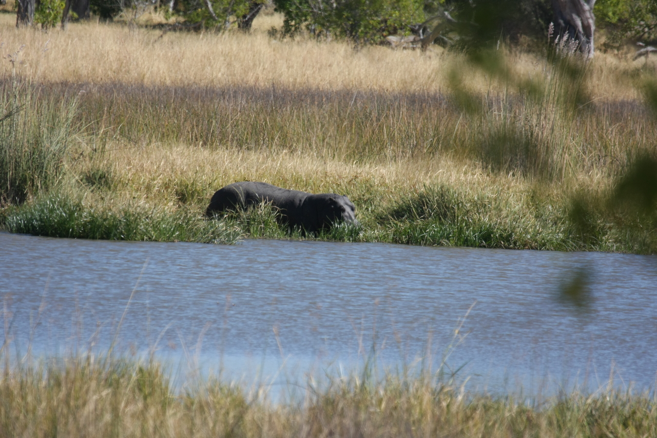 [19647] 2016_06_28_05_25_08_Africa_Canon_EOS_40D_IMG__03054.jpg