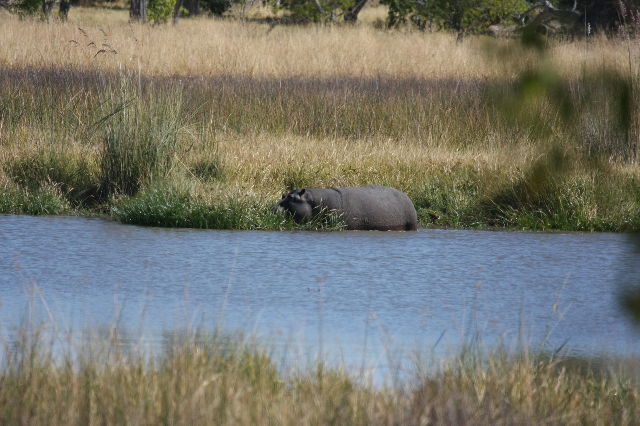 [19657] 2016_06_28_05_26_56_Africa_Canon_EOS_40D_IMG__03060.jpg