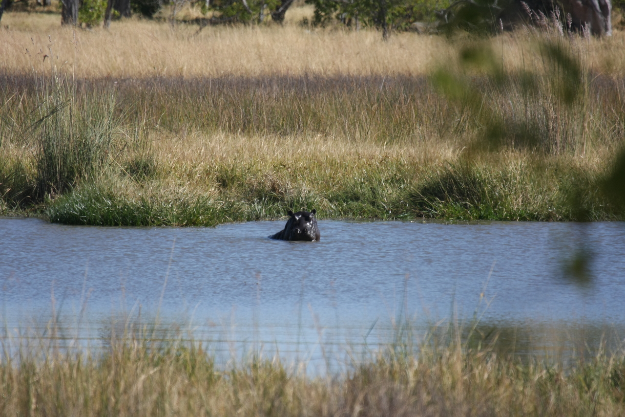 [19664] 2016_06_28_05_27_24_Africa_Canon_EOS_40D_IMG__00675.jpg