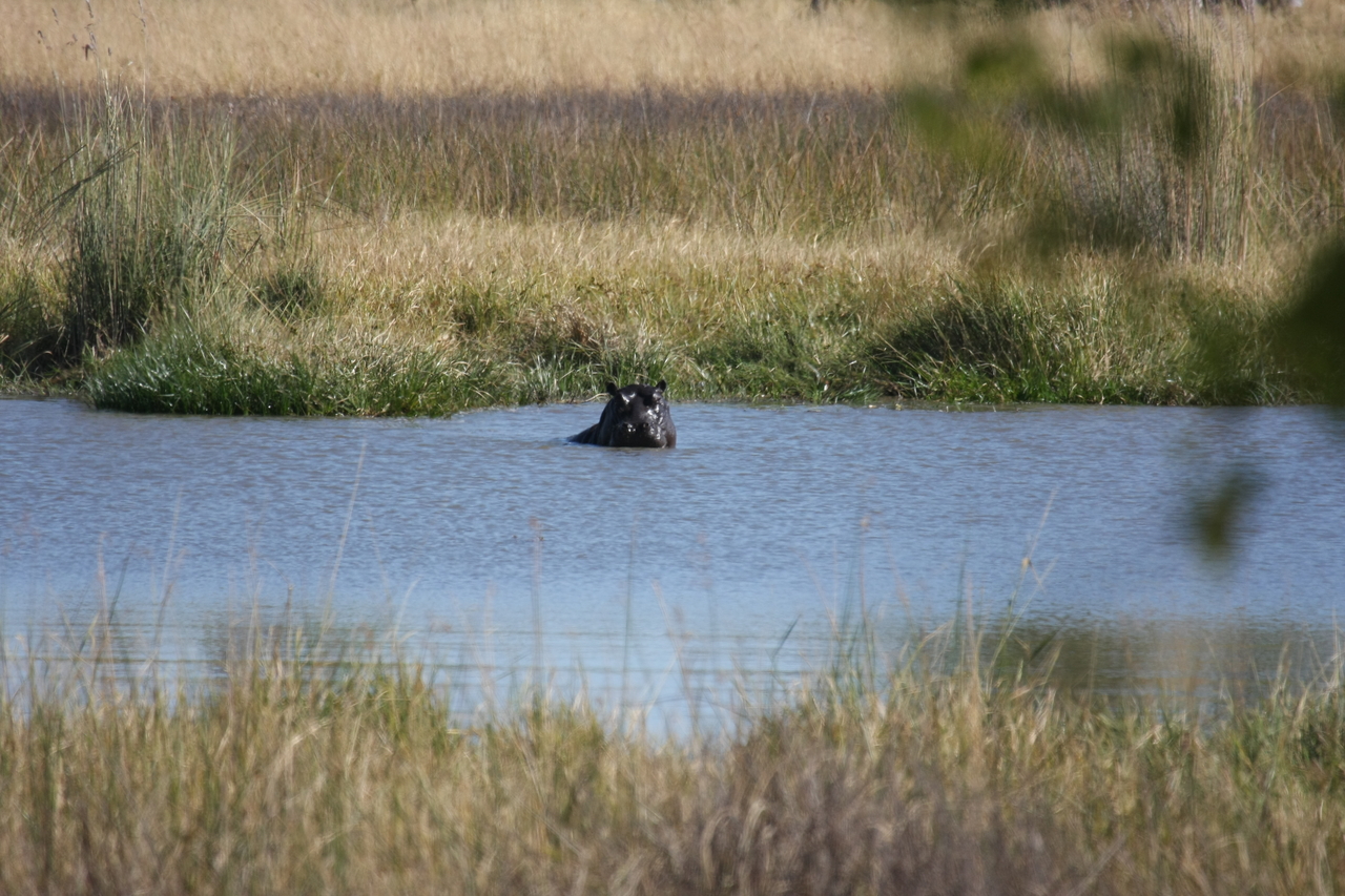 [19665] 2016_06_28_05_27_24_Africa_Canon_EOS_40D_IMG__00676.jpg