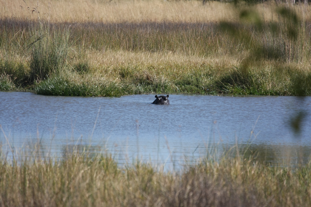[19676] 2016_06_28_05_27_27_Africa_Canon_EOS_40D_IMG__00679.jpg