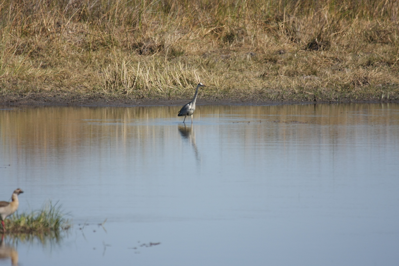 [19762] 2016_06_28_05_33_17_Africa_Canon_EOS_40D_IMG__10544.jpg