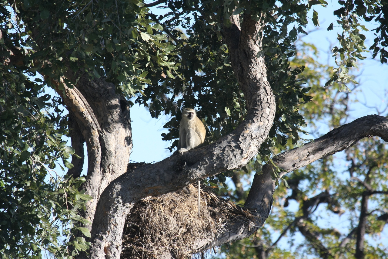 [20012] 2016_06_28_10_28_23_Africa_Canon_EOS_40D_IMG__10571.jpg