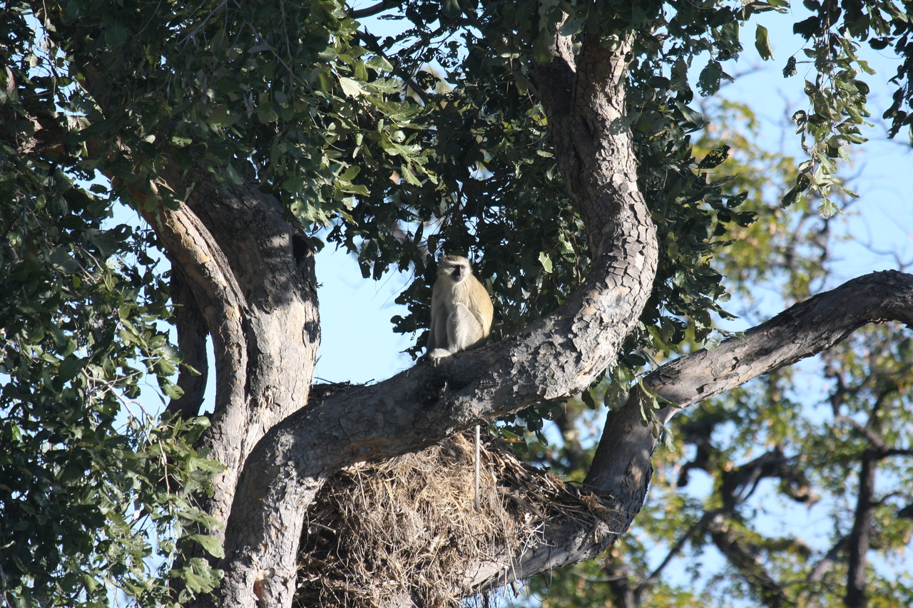 [20015] 2016_06_28_10_28_24_Africa_Canon_EOS_40D_IMG__10572.jpg