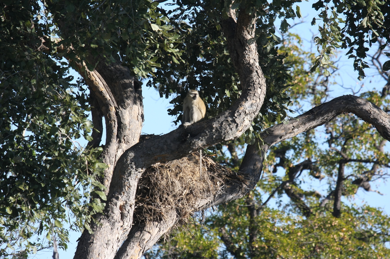 [20021] 2016_06_28_10_28_36_Africa_Canon_EOS_40D_IMG__10574.jpg