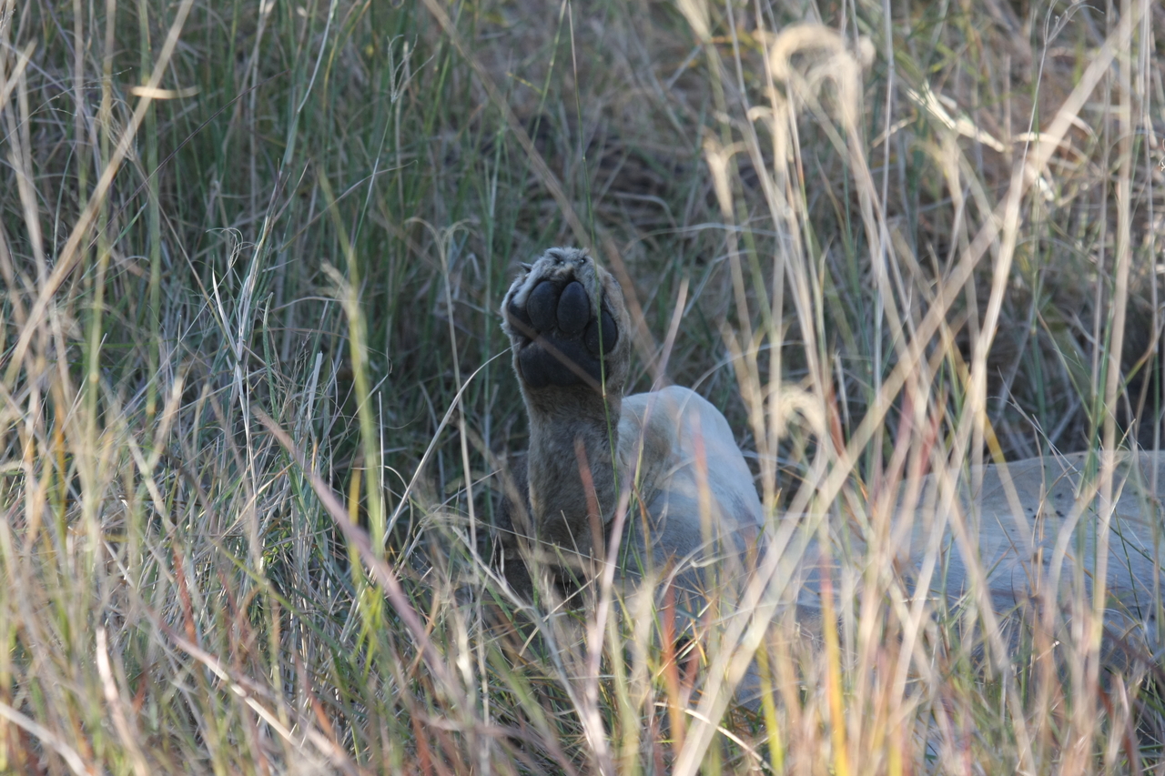 [20047] 2016_06_28_10_49_23_Africa_Canon_EOS_40D_IMG__00744.jpg