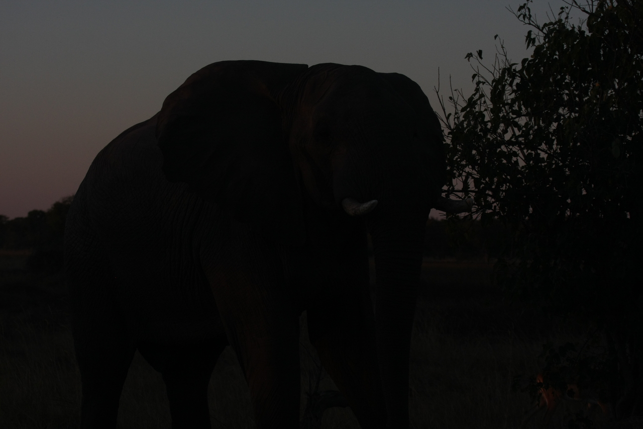 [20102] 2016_06_28_11_51_28_Africa_Canon_EOS_40D_IMG__10583.jpg