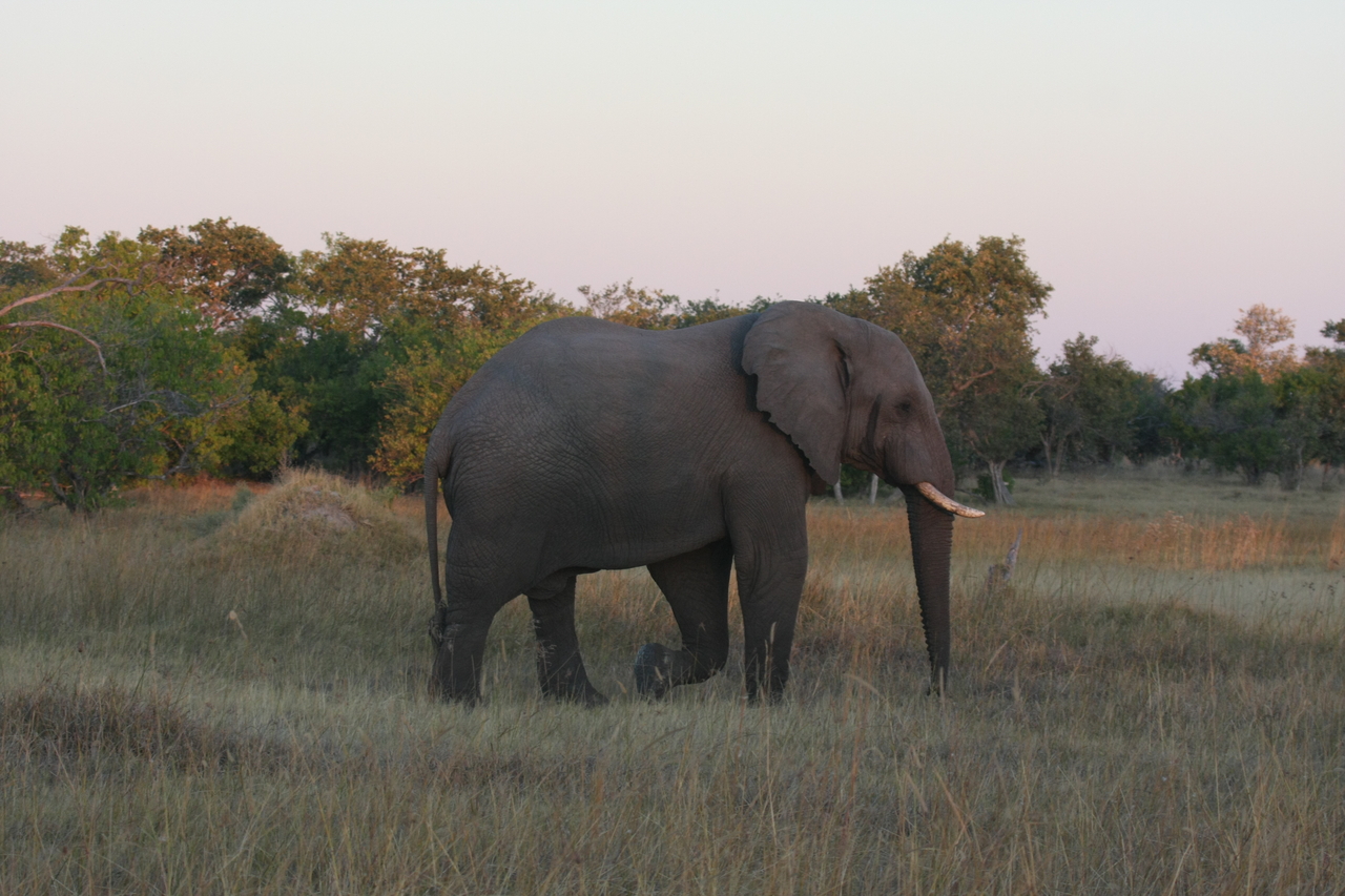 [20160] 2016_06_28_11_53_09_Africa_Canon_EOS_40D_IMG__03156.jpg
