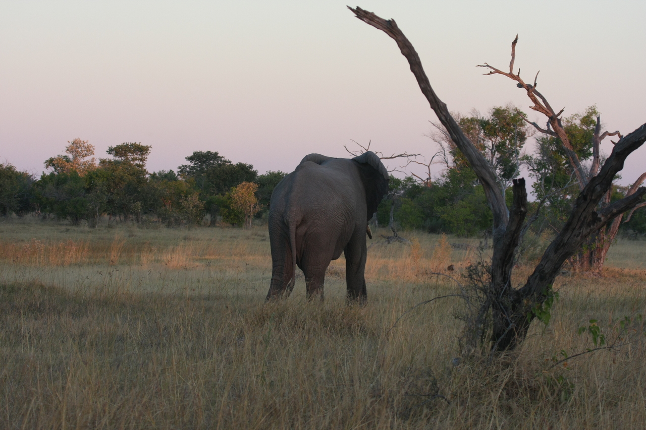 [20165] 2016_06_28_11_53_22_Africa_Canon_EOS_40D_IMG__03157.jpg