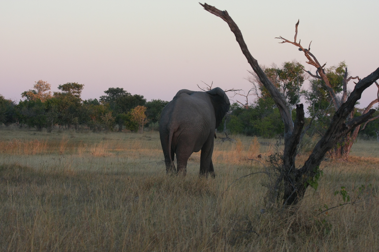 [20168] 2016_06_28_11_53_22_Africa_Canon_EOS_40D_IMG__10605.jpg