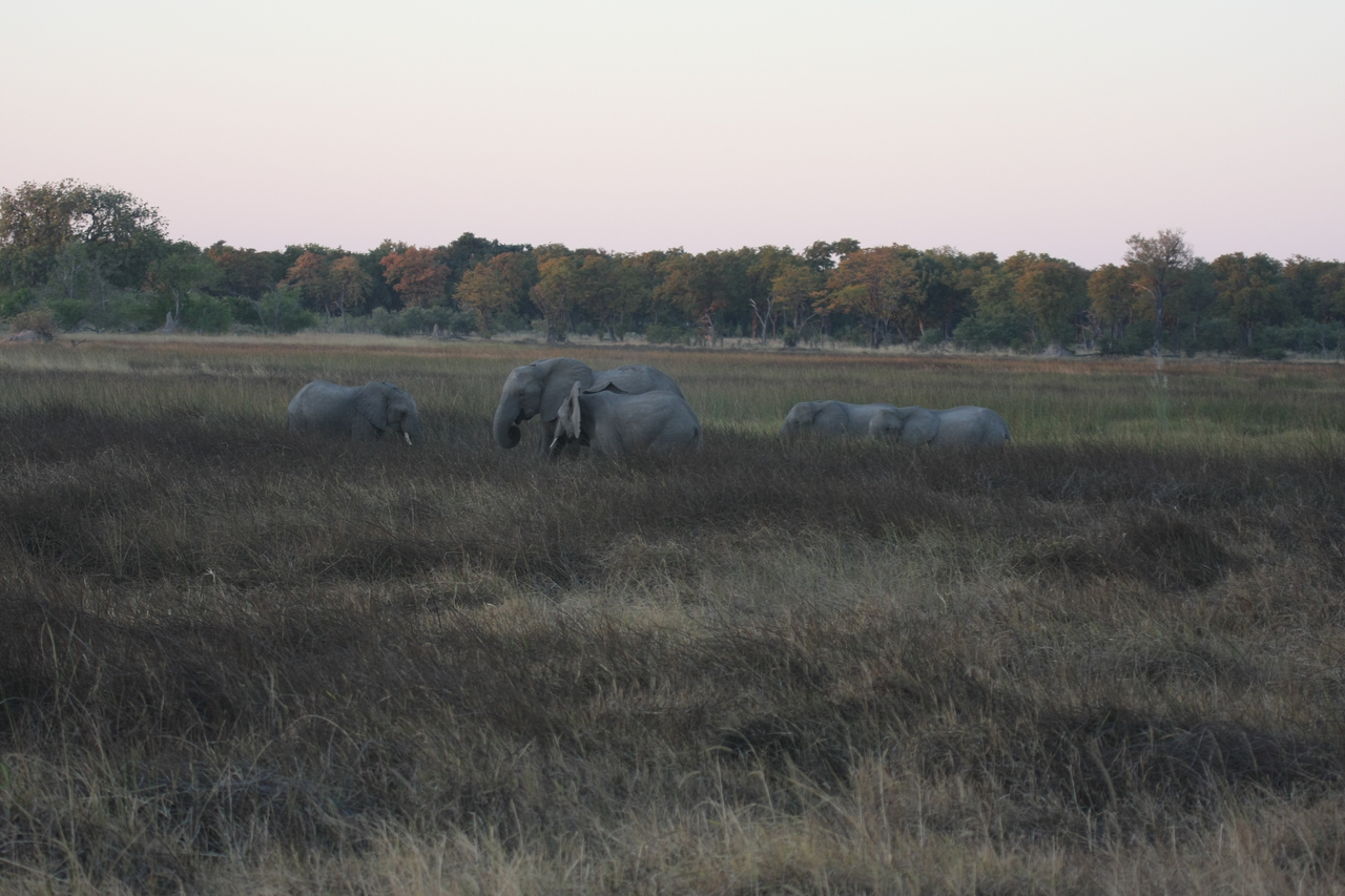[20175] 2016_06_28_11_54_14_Africa_Canon_EOS_40D_IMG__03161.jpg