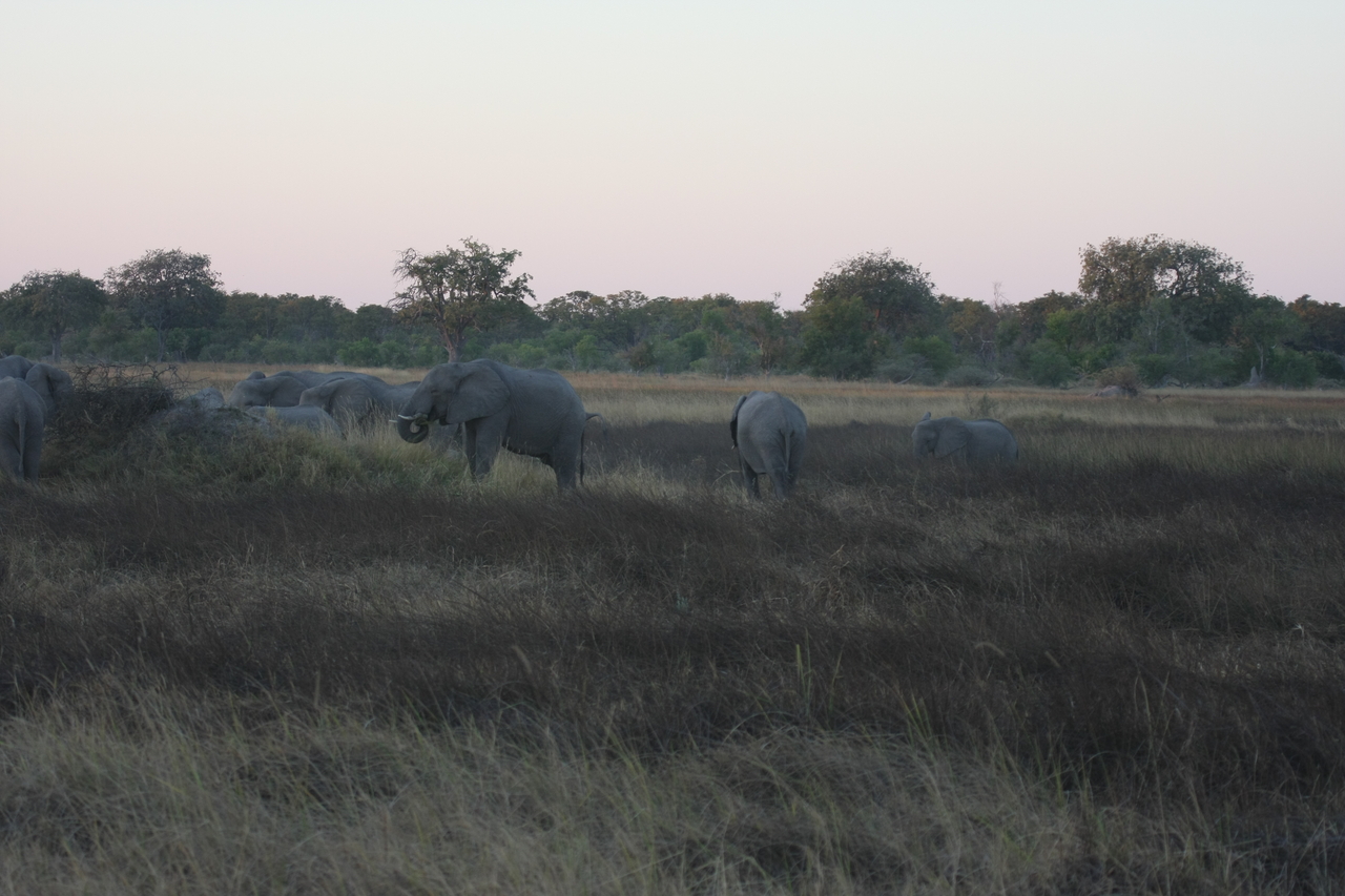 [20180] 2016_06_28_11_54_18_Africa_Canon_EOS_40D_IMG__10609.jpg