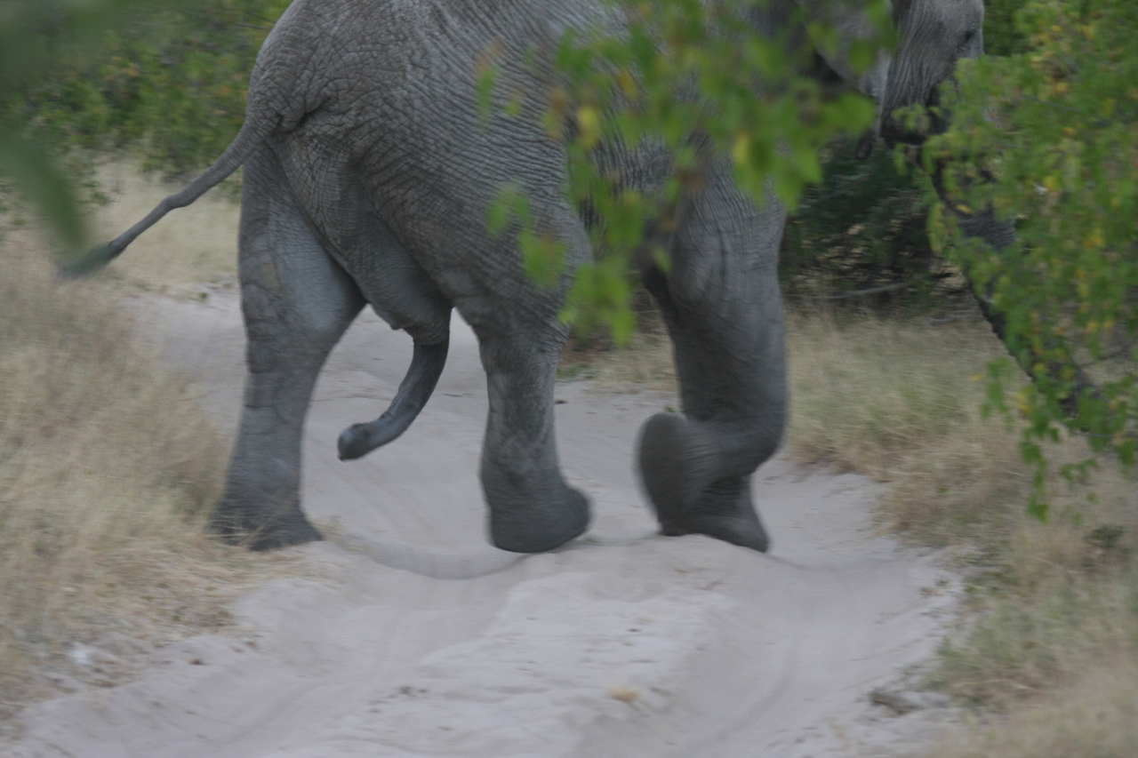 [20336] 2016_06_28_12_00_25_Africa_Canon_EOS_40D_IMG__10661.jpg