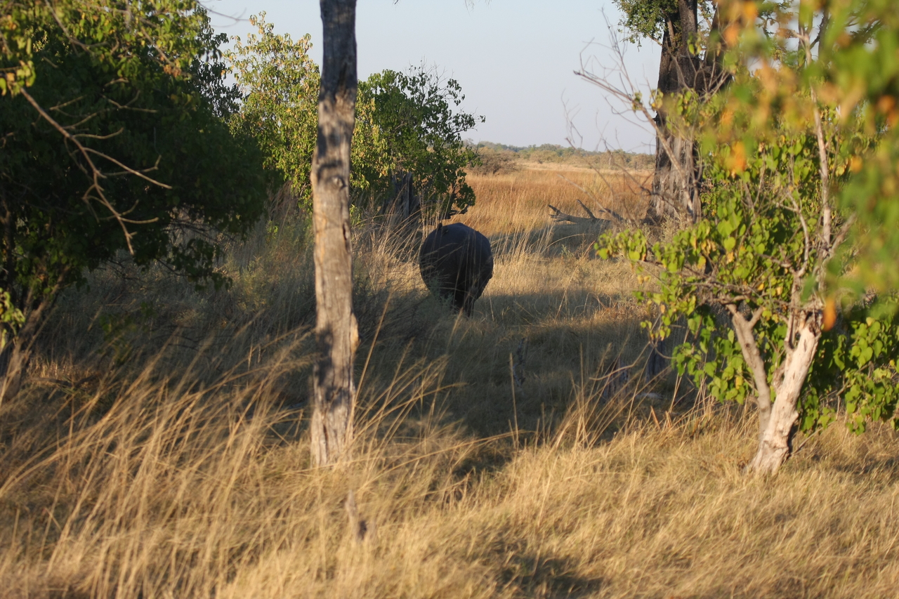 [20581] 2016_06_29_01_31_04_Africa_Canon_EOS_40D_IMG__10891.jpg