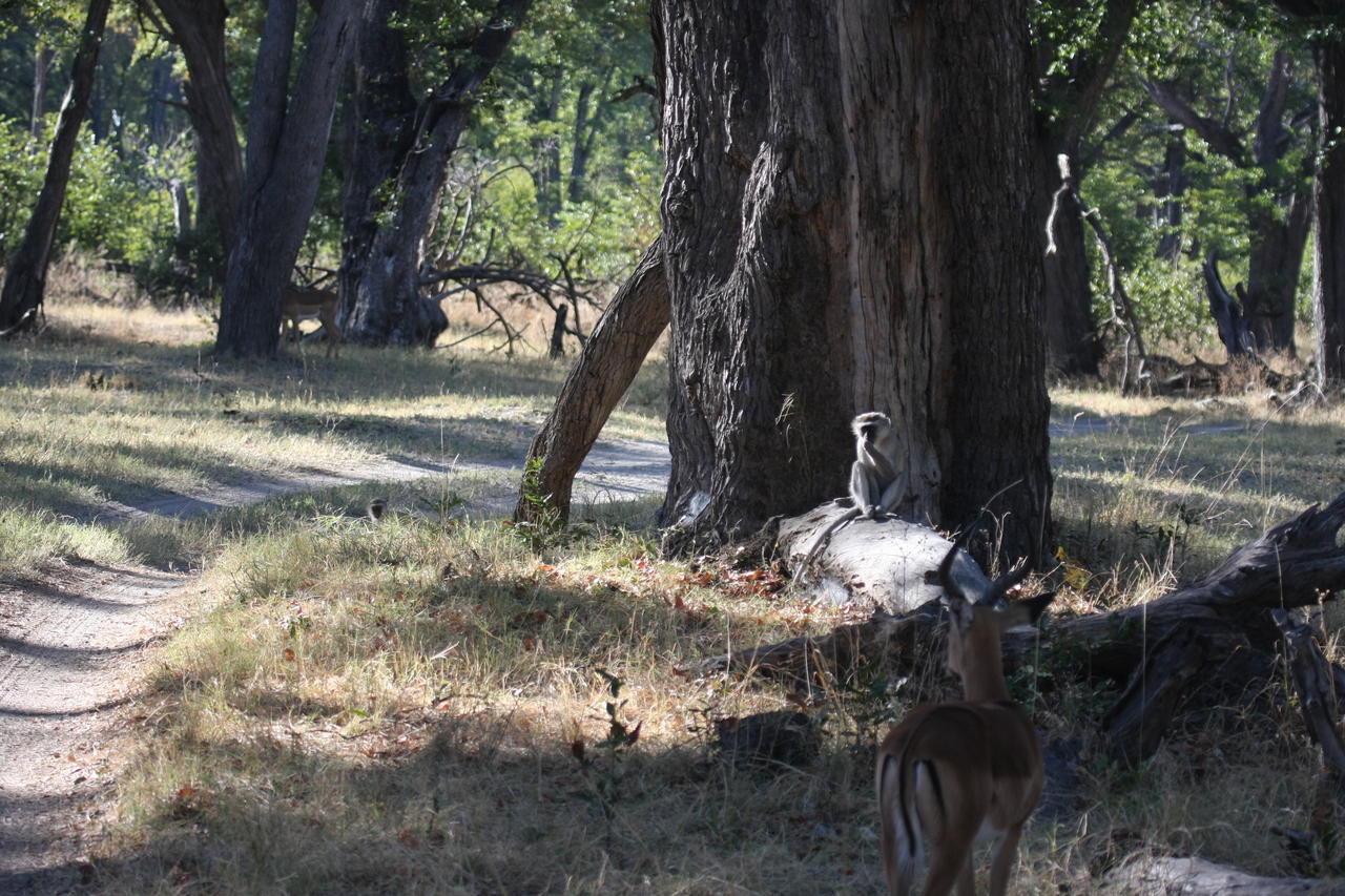 [20778] 2016_06_29_03_07_00_Africa_Canon_EOS_40D_IMG__00480.jpg