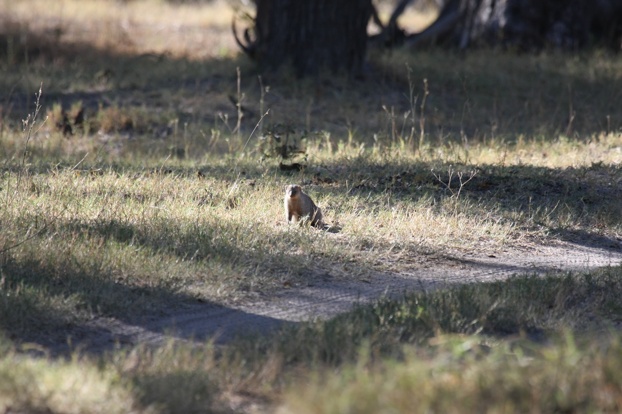 [20886] 2016_06_29_03_08_53_Africa_Canon_EOS_40D_IMG__00038.jpg