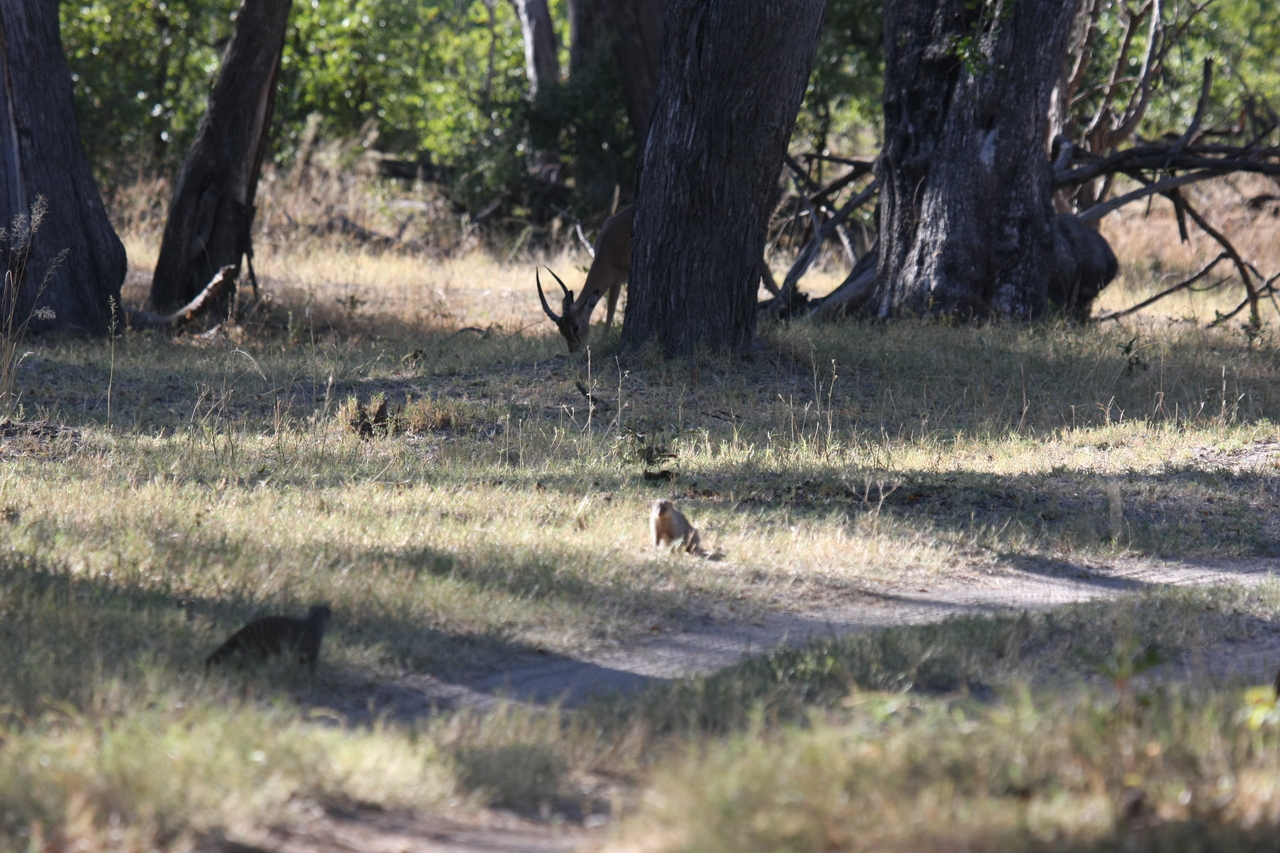 [20896] 2016_06_29_03_09_01_Africa_Canon_EOS_40D_IMG__00042.jpg