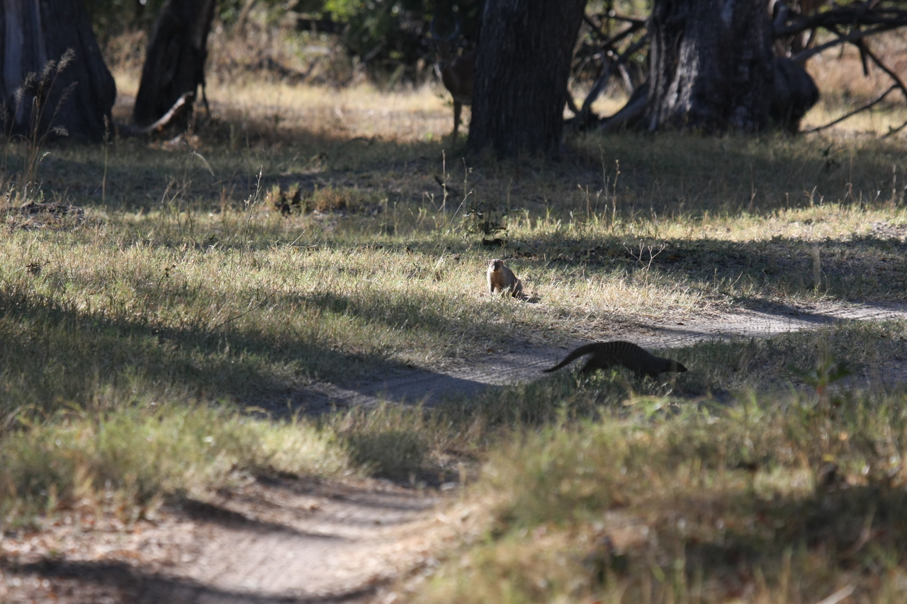 [20908] 2016_06_29_03_09_04_Africa_Canon_EOS_40D_IMG__10733.jpg
