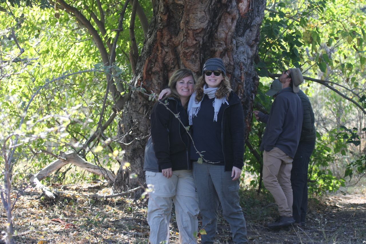 [21127] 2016_06_29_03_42_41_Africa_Canon_EOS_40D_IMG__10815.jpg