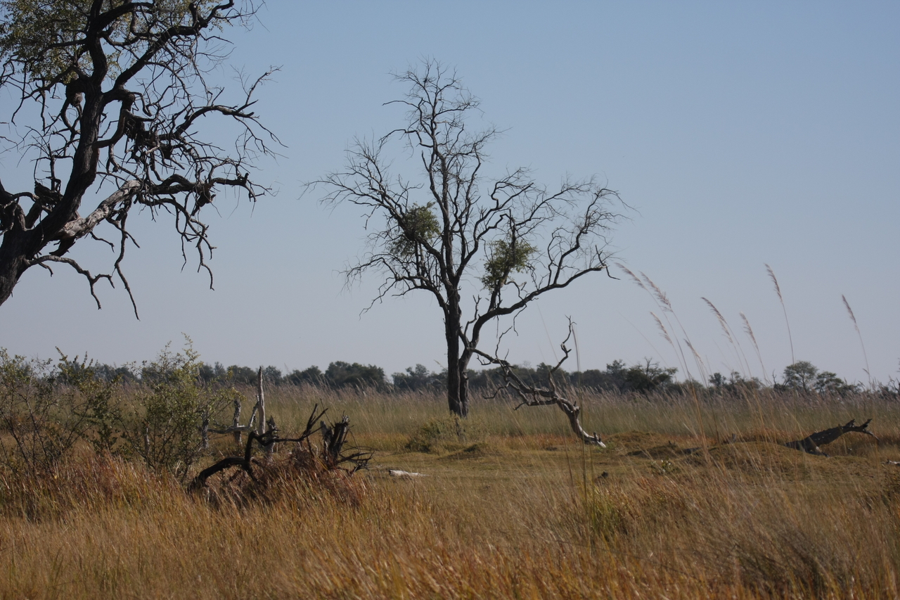 [21181] 2016_06_29_03_54_23_Africa_Canon_EOS_40D_IMG__10834.jpg