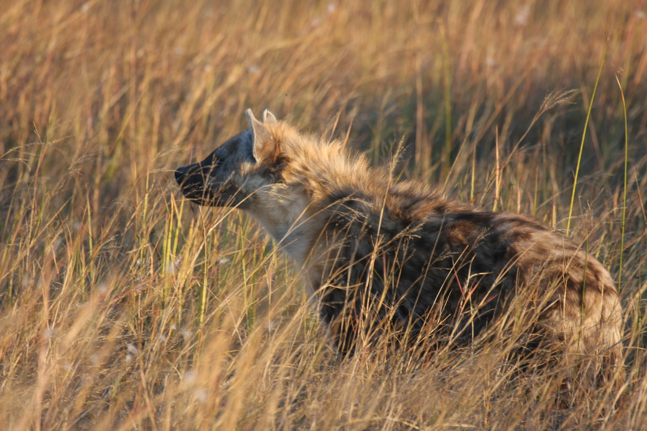 [21678] 2016_06_29_11_35_10_Africa_Canon_EOS_40D_IMG__00255.jpg