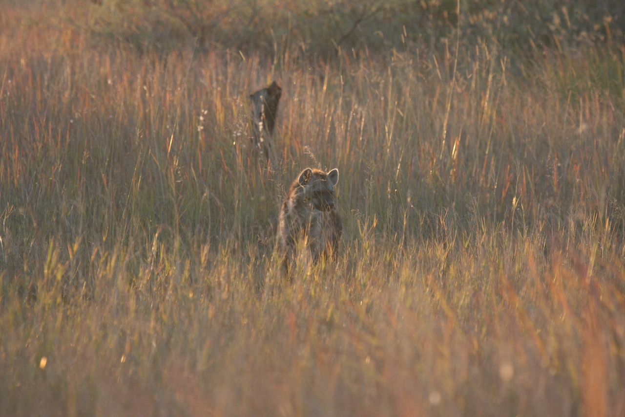 [21746] 2016_06_29_11_45_10_Africa_Canon_EOS_40D_IMG__10968.jpg