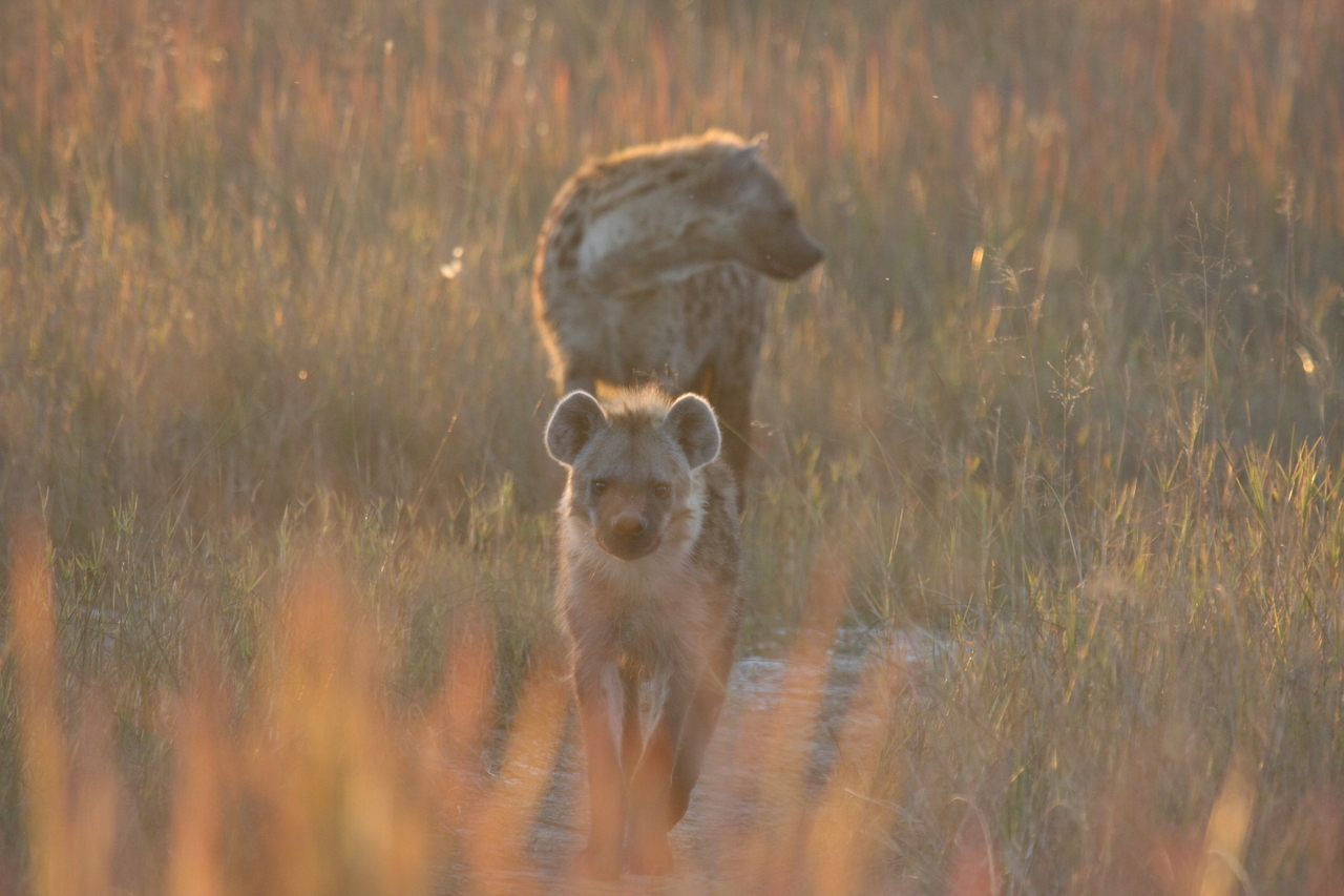 [21749] 2016_06_29_11_45_15_Africa_Canon_EOS_40D_IMG__00283.jpg