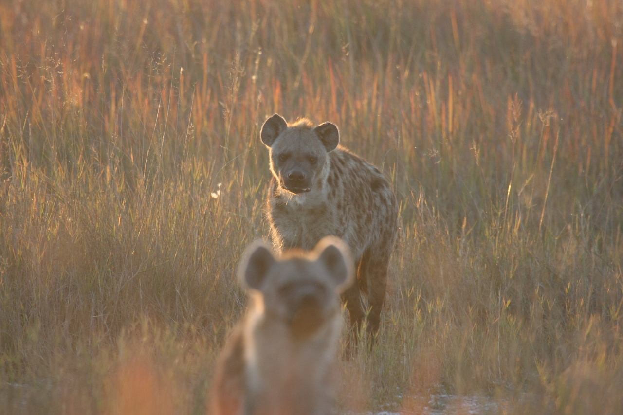 [21758] 2016_06_29_11_45_20_Africa_Canon_EOS_40D_IMG__00286.jpg
