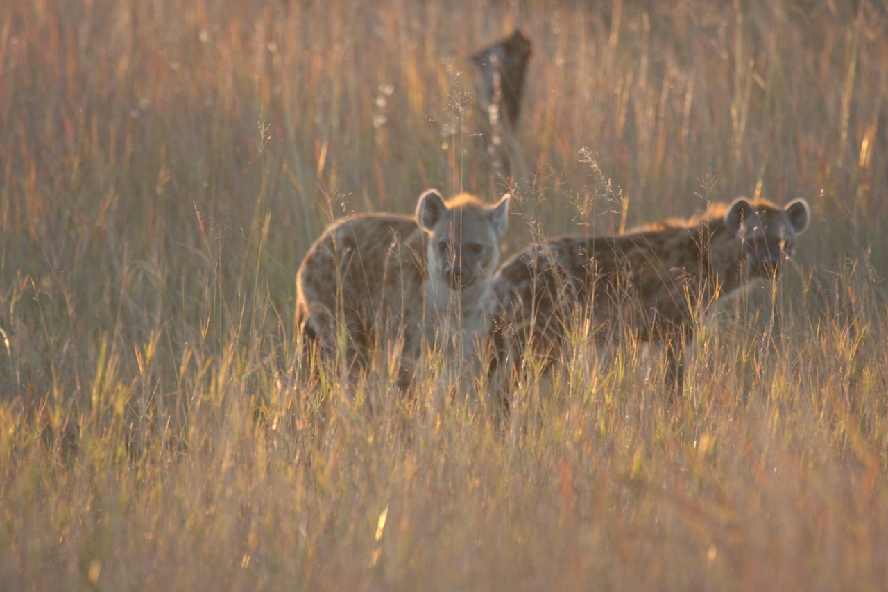 [21794] 2016_06_29_11_46_03_Africa_Canon_EOS_40D_IMG__03539.jpg