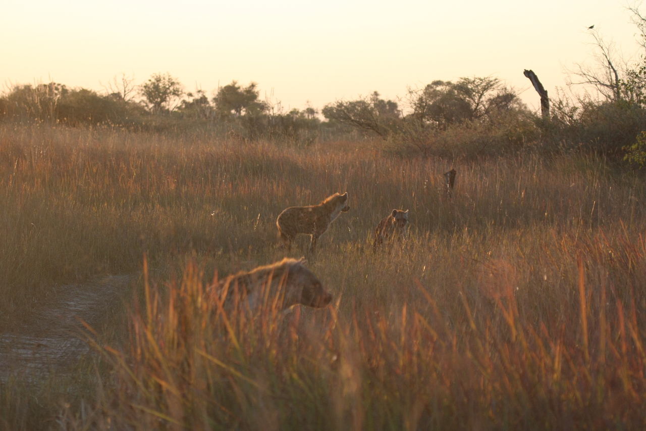 [21799] 2016_06_29_11_46_13_Africa_Canon_EOS_40D_IMG__00300.jpg
