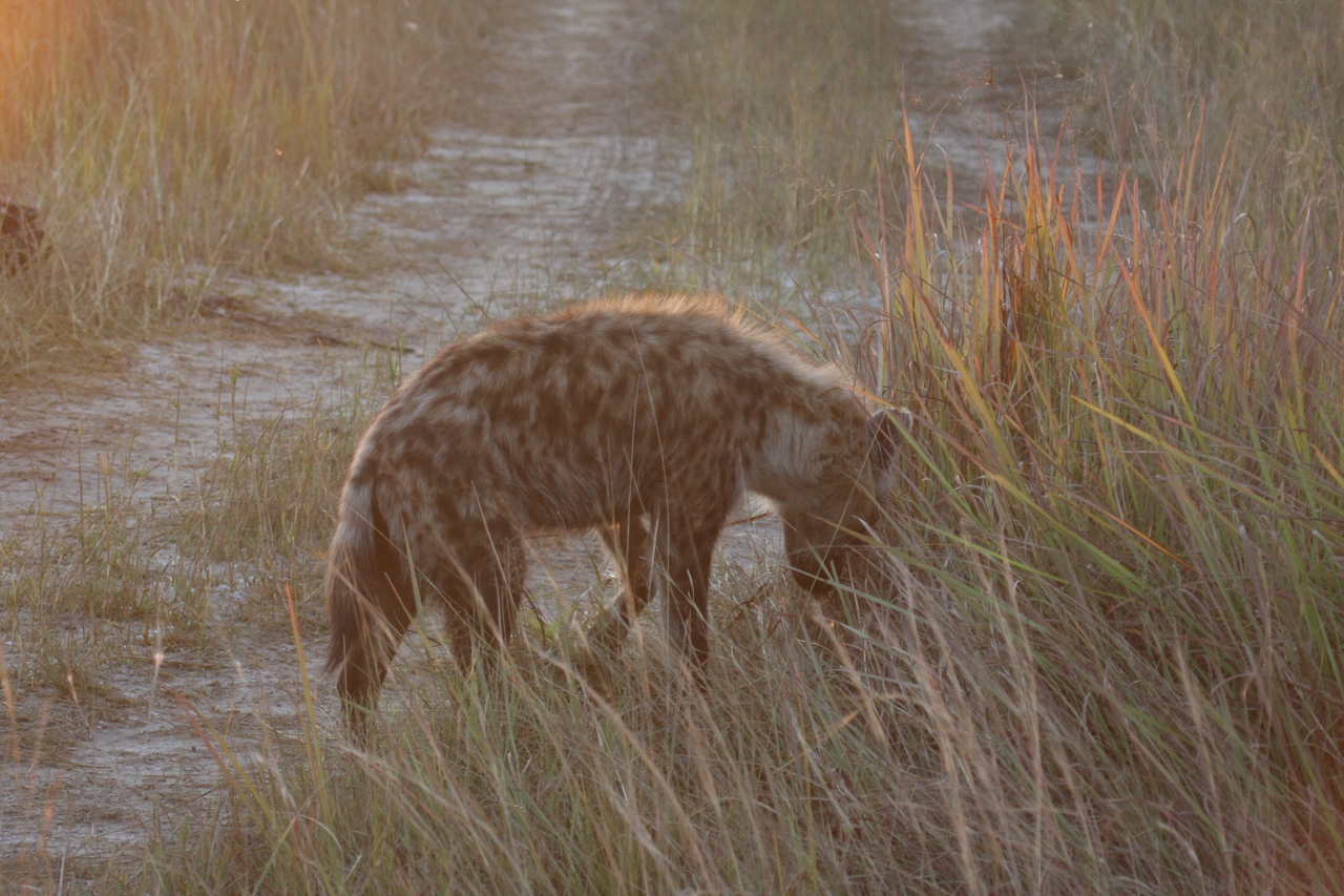 [21875] 2016_06_29_11_49_13_Africa_Canon_EOS_40D_IMG__11016.jpg