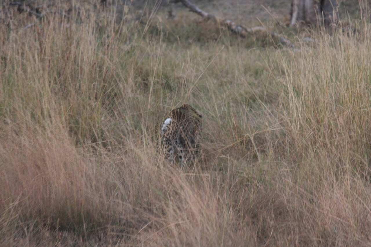 [21961] 2016_06_29_12_08_48_Africa_Canon_EOS_40D_IMG__11048.jpg