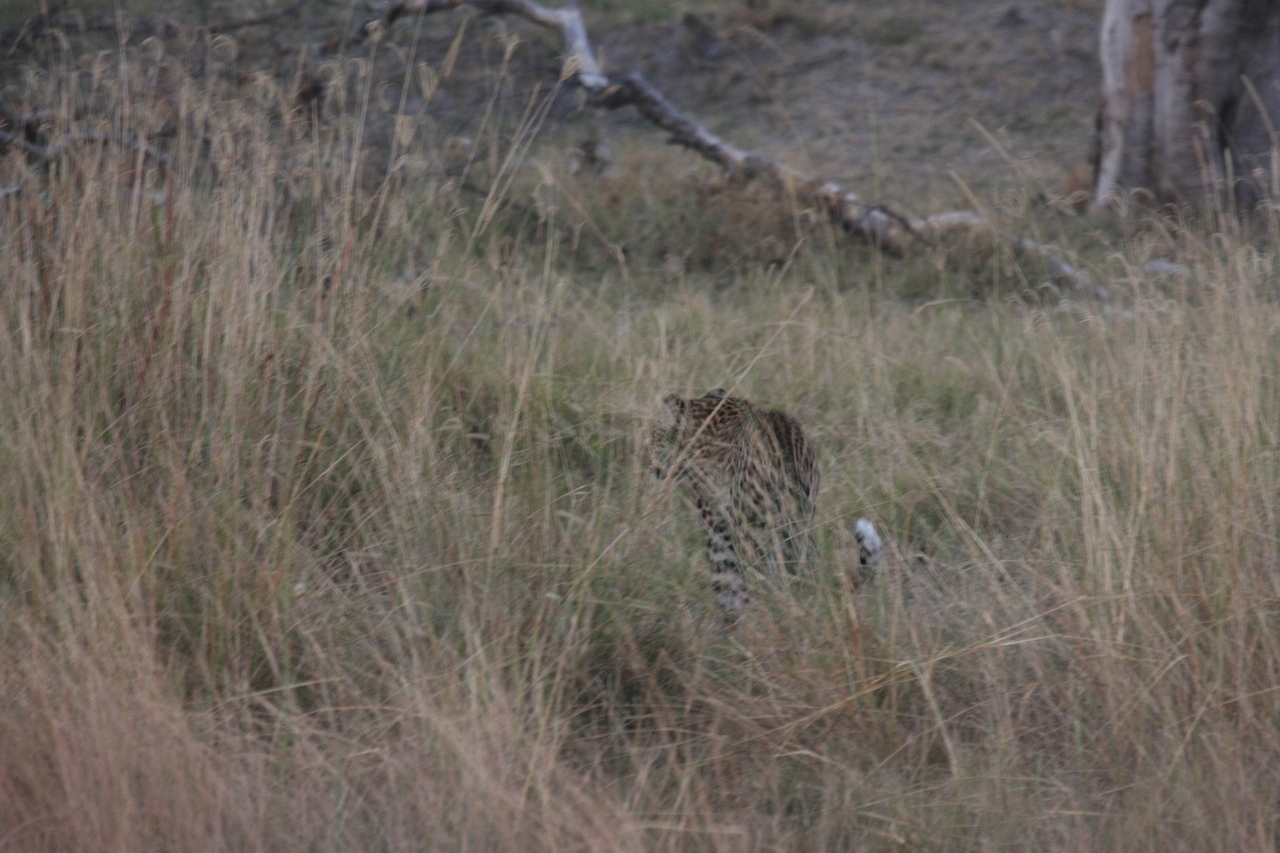 [21967] 2016_06_29_12_08_53_Africa_Canon_EOS_40D_IMG__03604.jpg