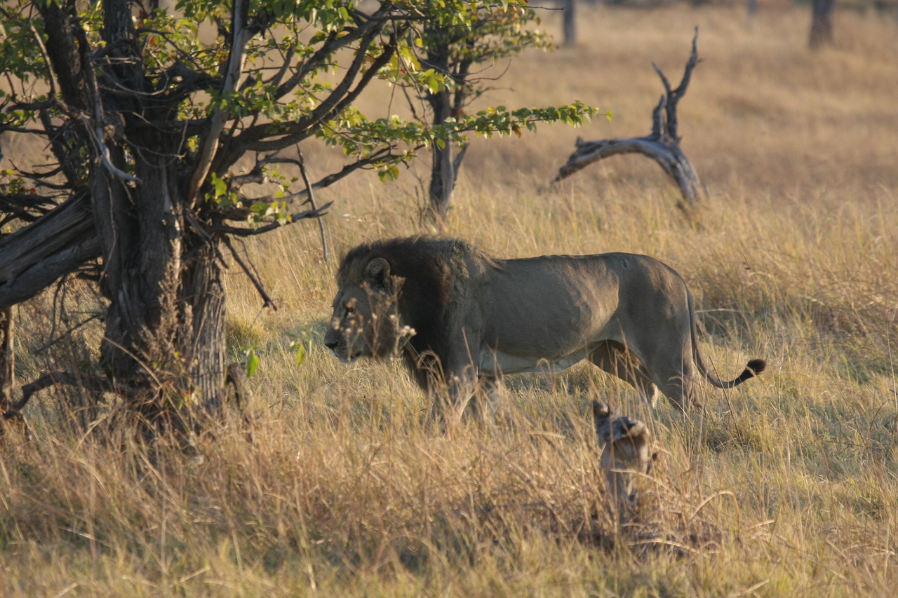 [22592] 2016_06_30_01_36_25_Africa_Canon_EOS_40D_IMG__00424.jpg