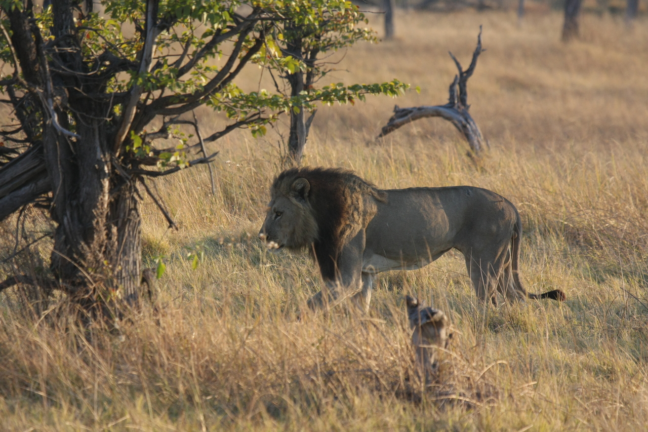 [22595] 2016_06_30_01_36_25_Africa_Canon_EOS_40D_IMG__11586.jpg