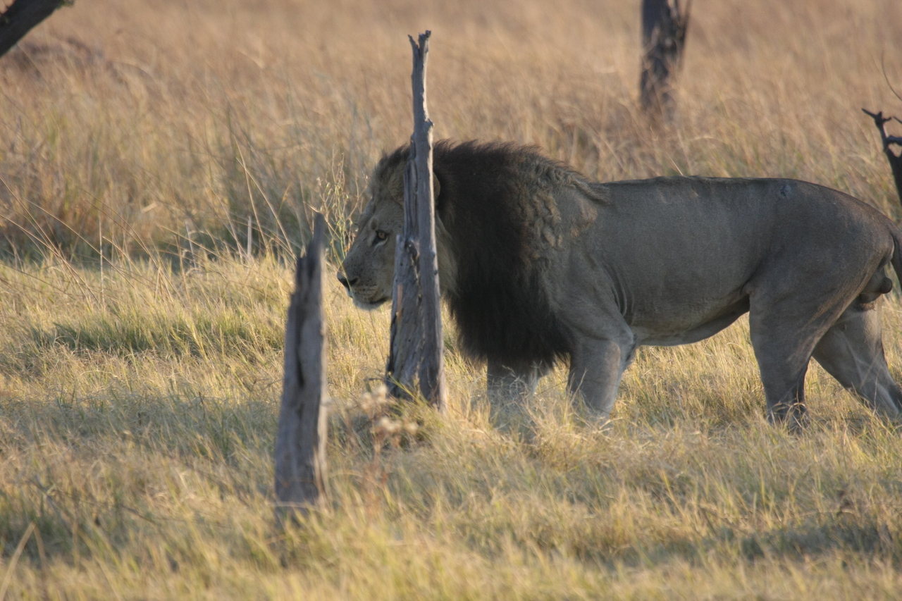 [22597] 2016_06_30_01_36_32_Africa_Canon_EOS_40D_IMG__00435.jpg