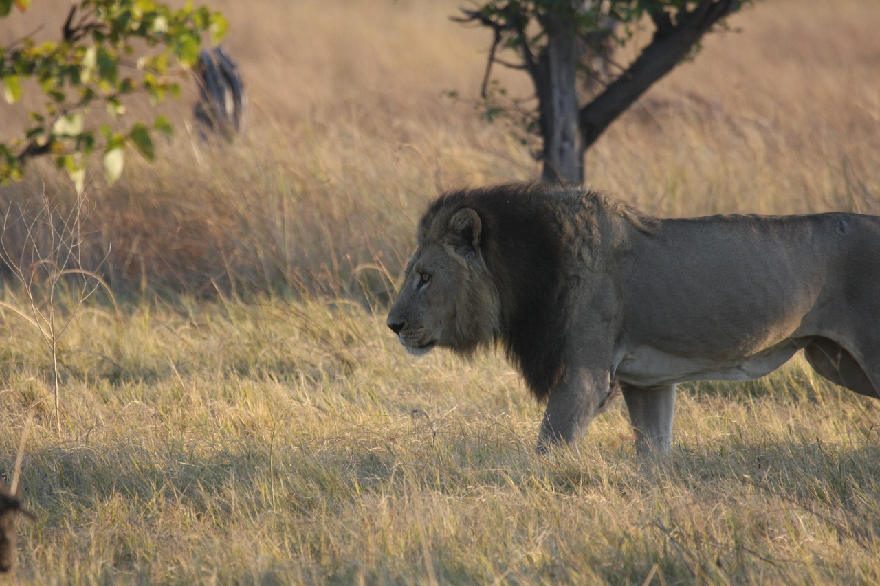 [22600] 2016_06_30_01_36_33_Africa_Canon_EOS_40D_IMG__00447.jpg