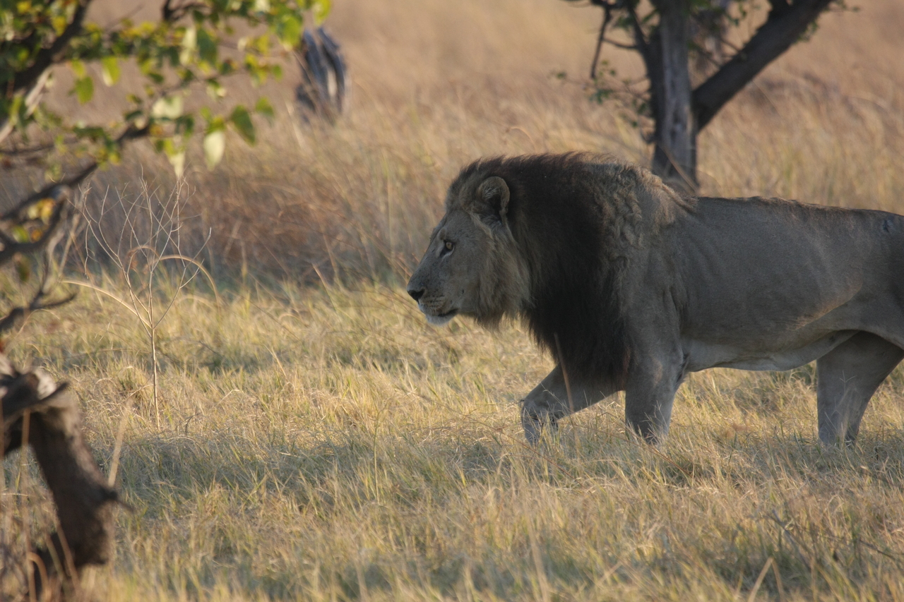 [22607] 2016_06_30_01_36_34_Africa_Canon_EOS_40D_IMG__11631.jpg