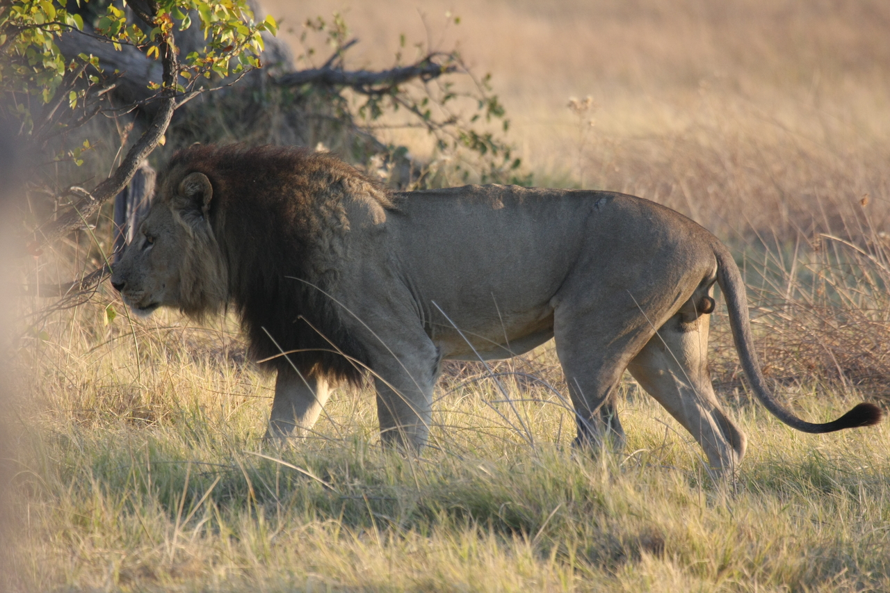 [22613] 2016_06_30_01_36_43_Africa_Canon_EOS_40D_IMG__04217.jpg