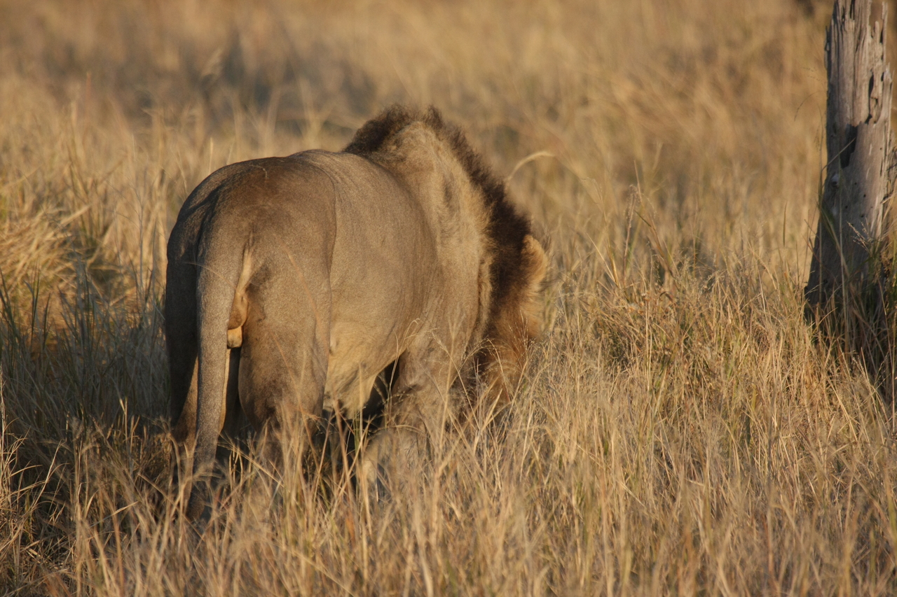 [22642] 2016_06_30_01_40_00_Africa_Canon_EOS_40D_IMG__11753.jpg