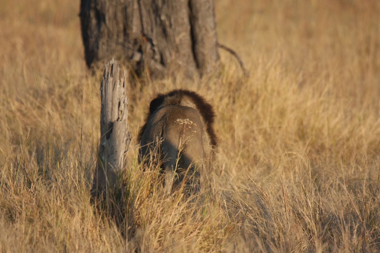 [22645] 2016_06_30_01_40_05_Africa_Canon_EOS_40D_IMG__11764.jpg
