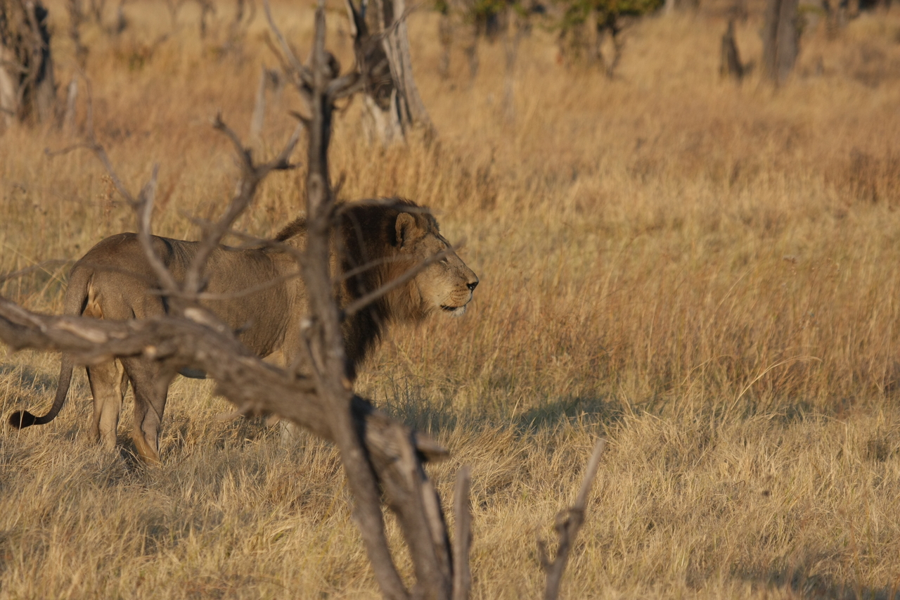 [22652] 2016_06_30_01_41_42_Africa_Canon_EOS_40D_IMG__00624.jpg
