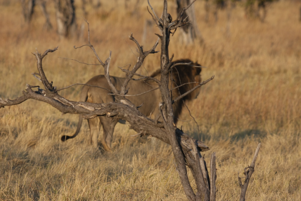 [22663] 2016_06_30_01_41_48_Africa_Canon_EOS_40D_IMG__11830.jpg