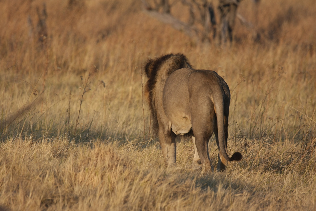 [22666] 2016_06_30_01_42_11_Africa_Canon_EOS_40D_IMG__04395.jpg
